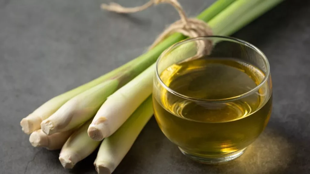 22_03_2025-lemon_grass_tea_benefits_23903552