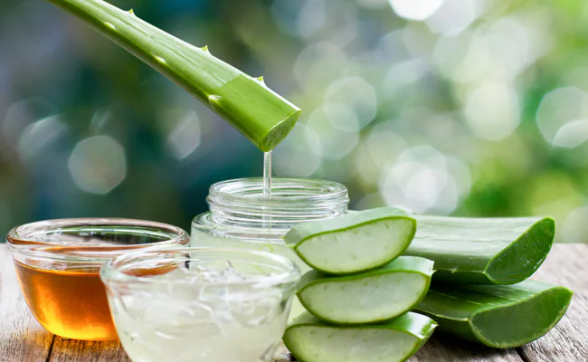 1k4dtgq8_how-to-consume-aloe-vera-for-belly-fat-loss_625x300_05_January_23
