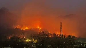 27_04_2025-forest-fire_23926799