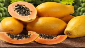 7019327-fruits-1