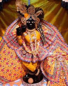 banke-bihari-ke-darshan