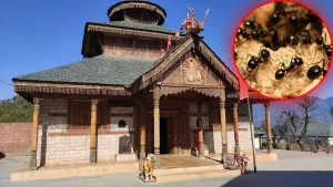chindi-mata-temple
