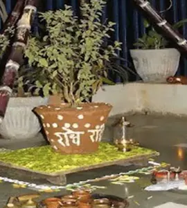k53okn7_tulsi-vivah_625x300_04_November_22