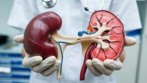 mn-kidney-transplant