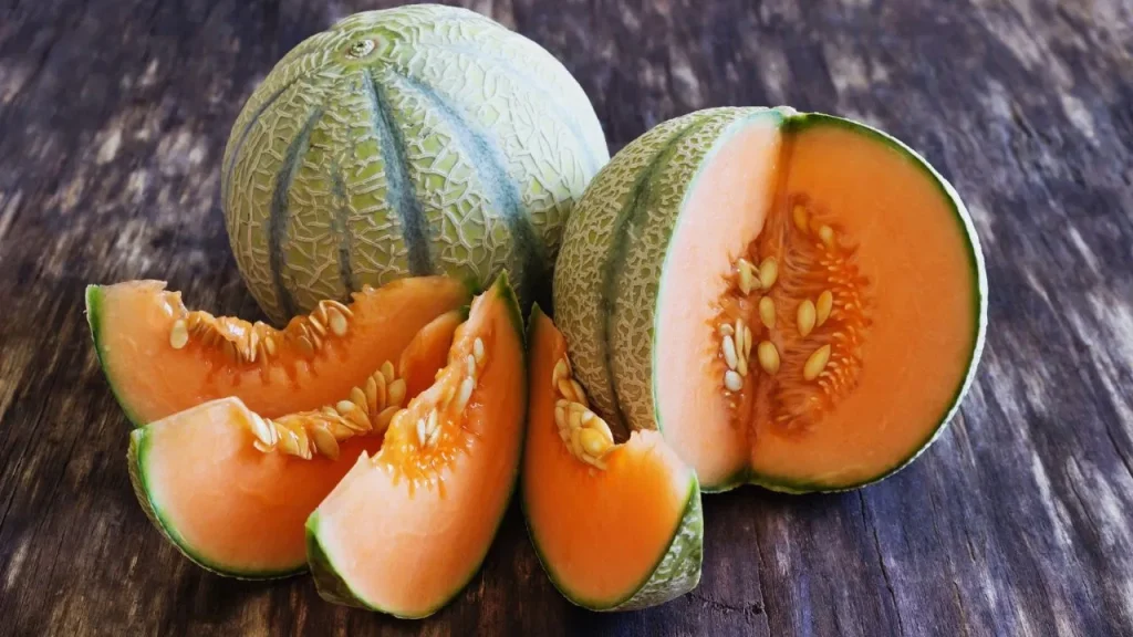 muskmelon-recipes