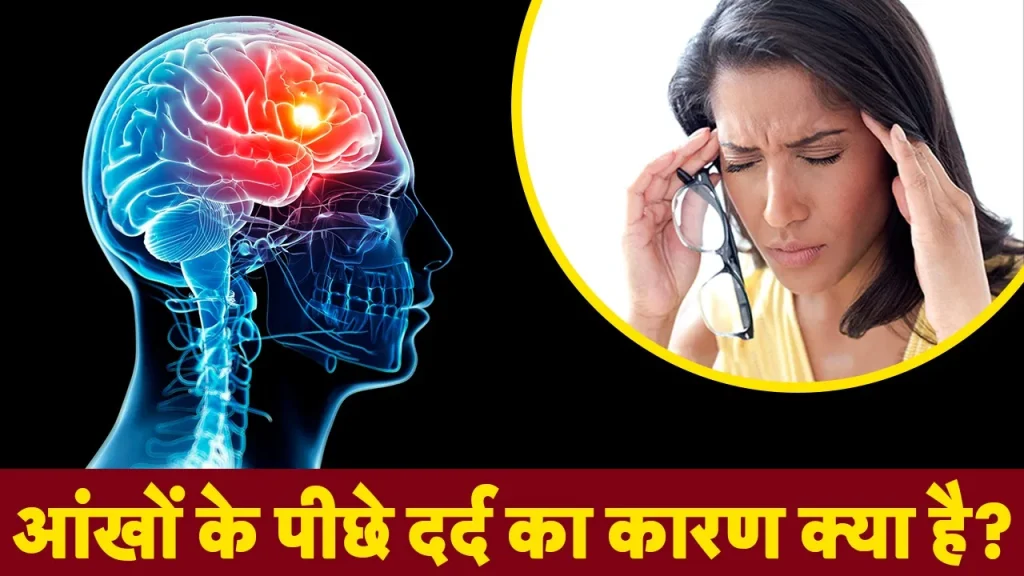 whatsapp-image-2025-04-15-at-3.52.34-pm