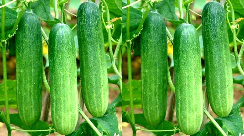 199