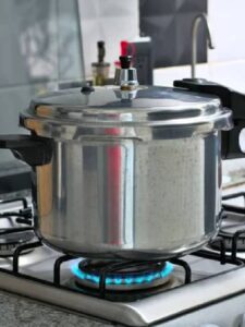3559684-pressure-cooker-ws-2