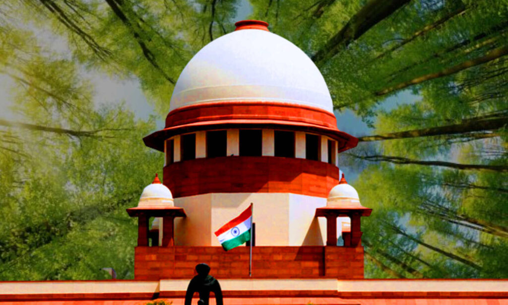 684295-pcpndt-act-supreme-court