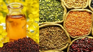 Mustard_-pulses