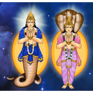 Rahu_ketu-1.png