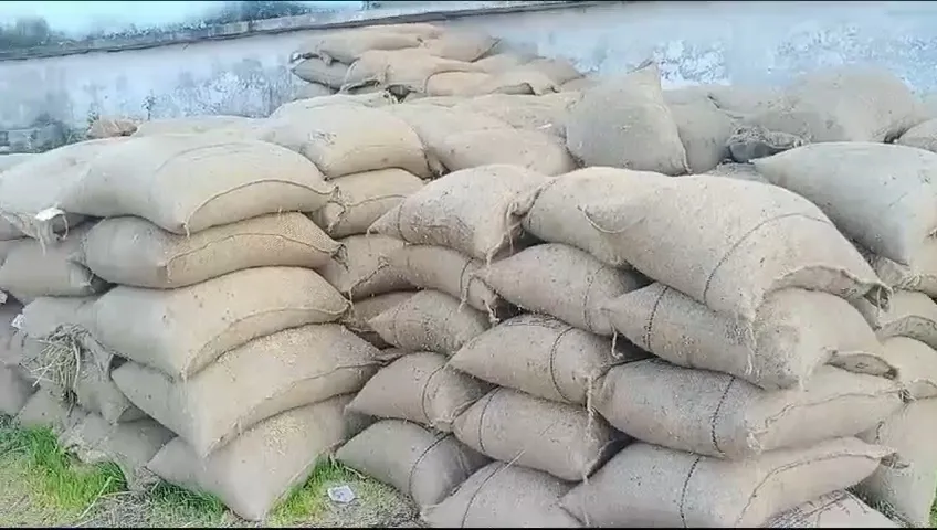 VideoCapture_20250523-103804