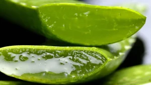 aloe-vera-benefits-uses-skin-hair-health