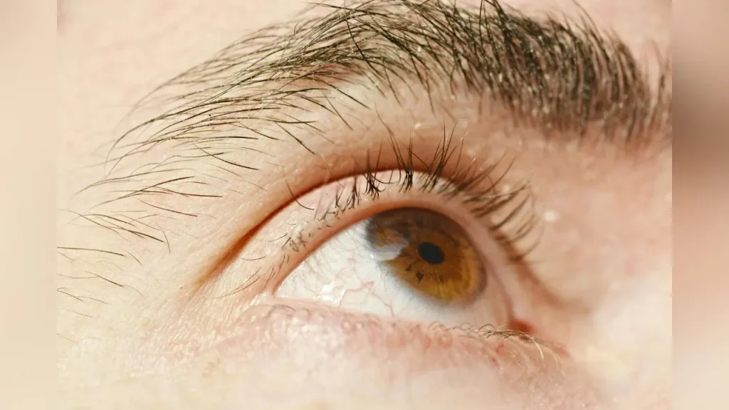 eye-sight-improve-exercise