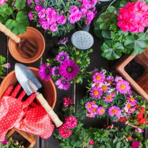 flower-plants