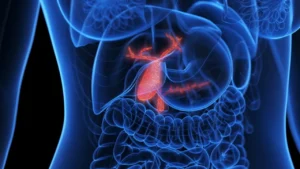 gallbladder