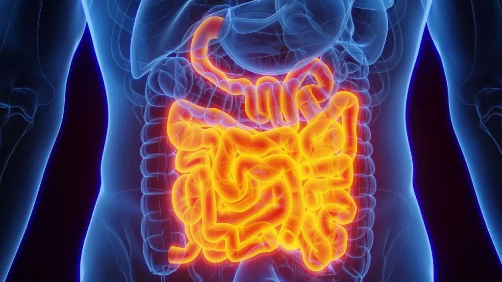 health-tips-best-way-to-improve-your-gut-health-explain-by-expert