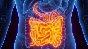 health-tips-best-way-to-improve-your-gut-health-explain-by-expert