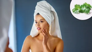 home-remedies-way-to-use-coriander-leaves-for-glowing-skin-in-summer-season