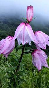images (7)