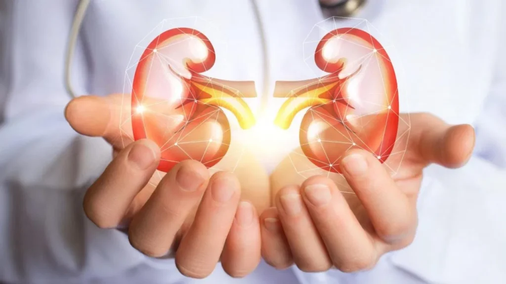 kidneys-