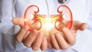 kidneys-