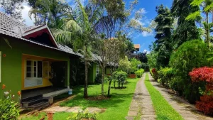 south-india-best-places-for-summer