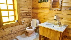 washroom-toilet-bathroom-difference