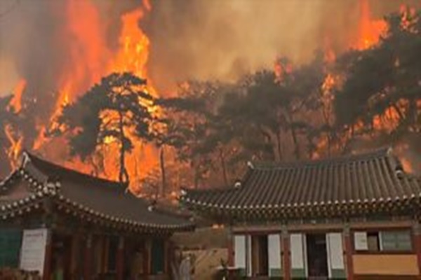 wildfire