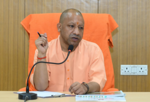 yogi