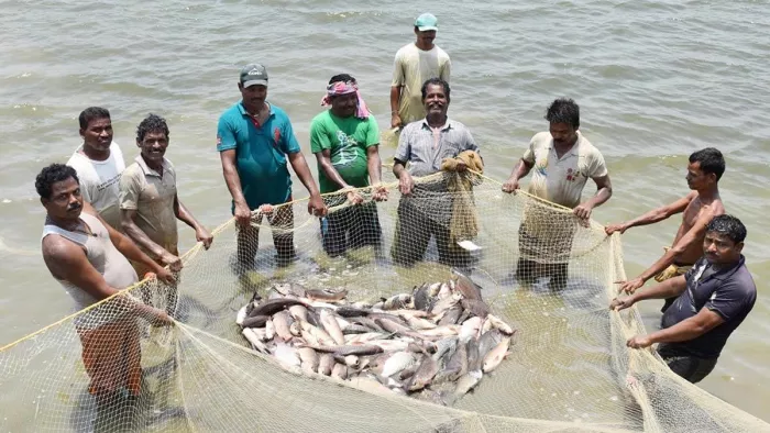 15_06_2023-17_08_2022-fish_farming_22985896_23441979_m