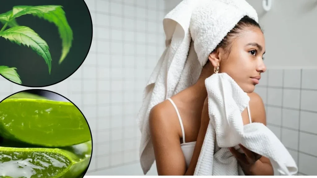 5-natural-ingredients-to-get-healthy-and-glowing-skin-in-monsoon