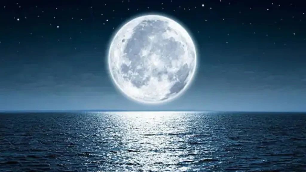 chand-81