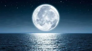 chand-81