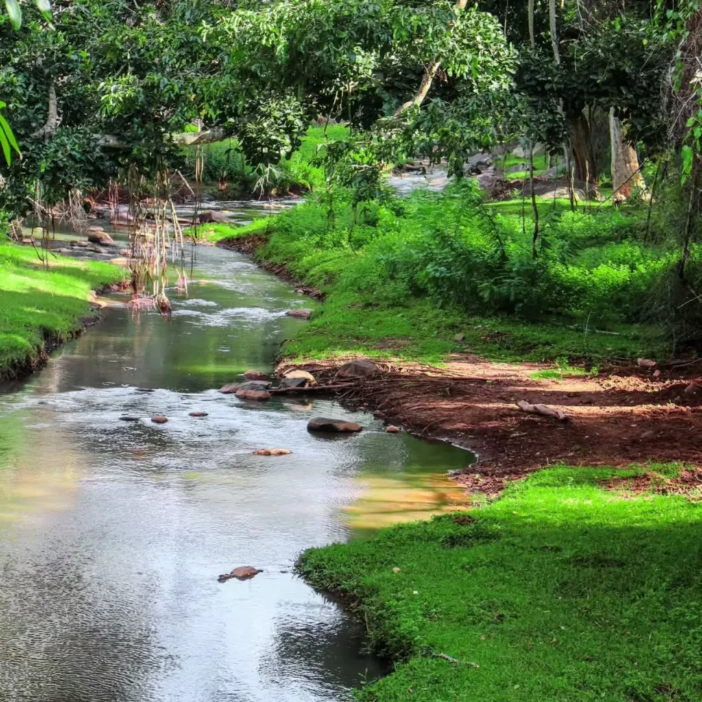 kotagiri-falls