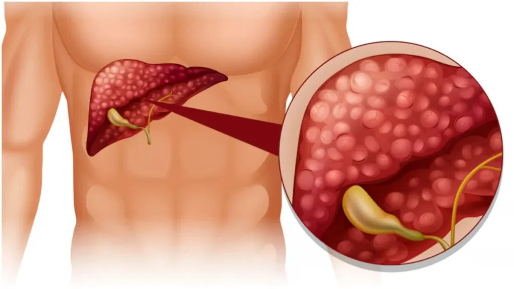 liver-freepik-1749228052