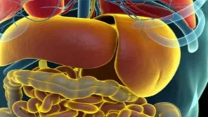 liver-health