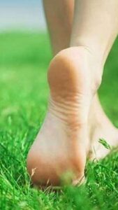 walking-on-grass-cover-1694435671