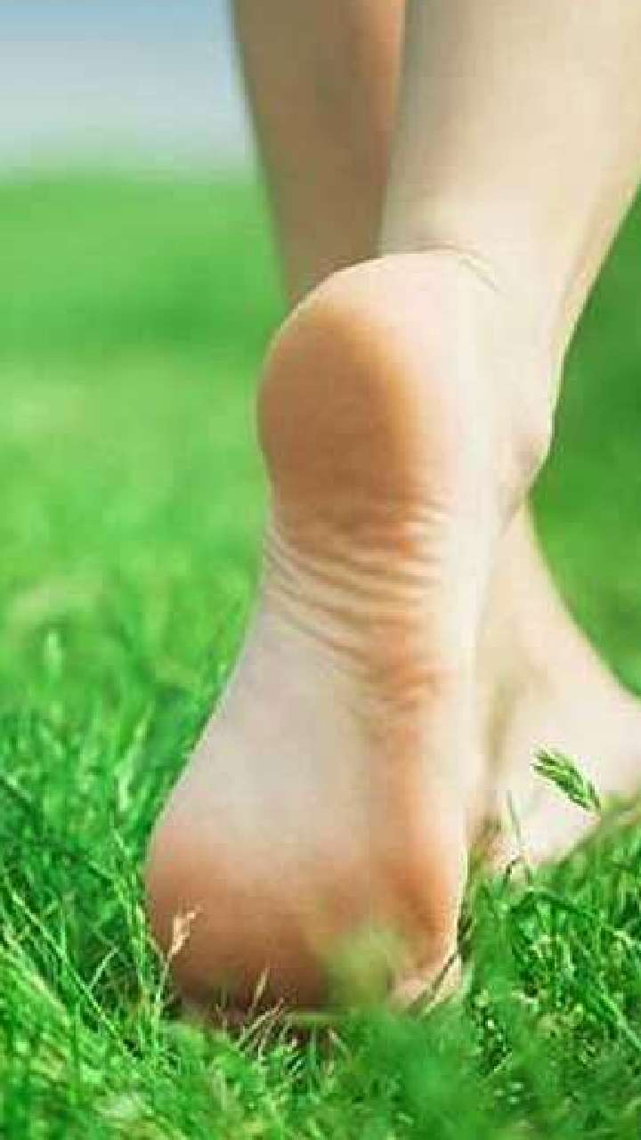 walking-on-grass-cover-1694435671