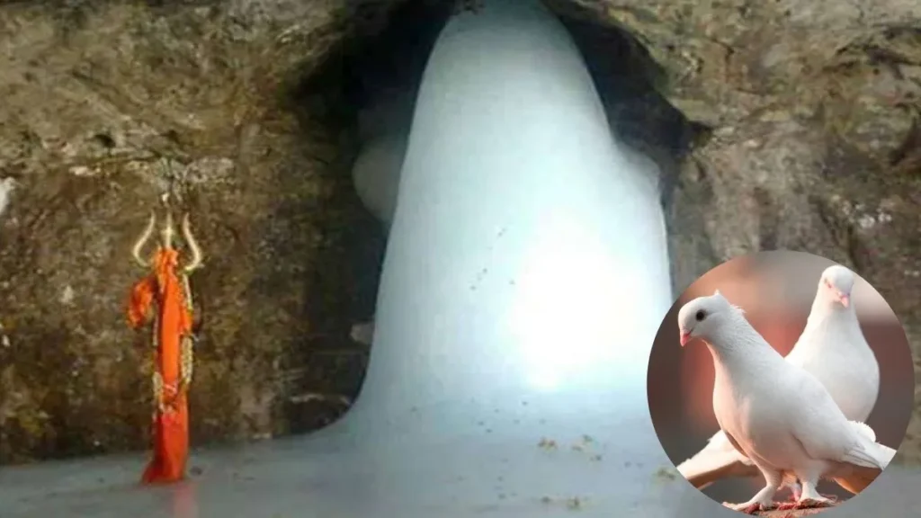 amarnath-2-1751617338