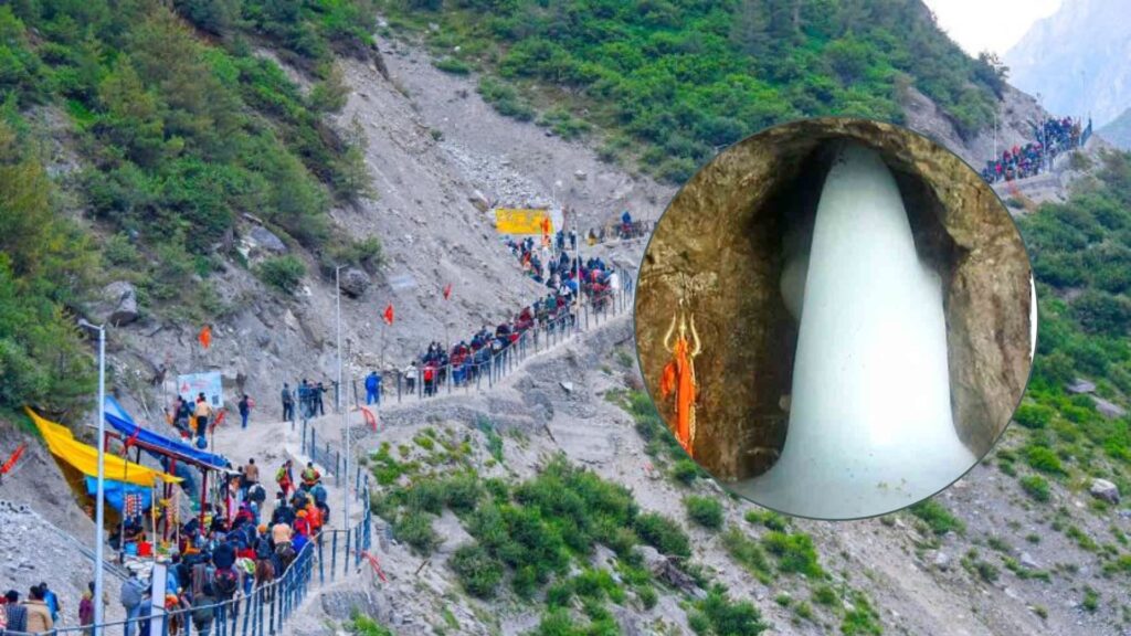 cm-yogi-(5)
