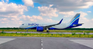 indigo-emergency
