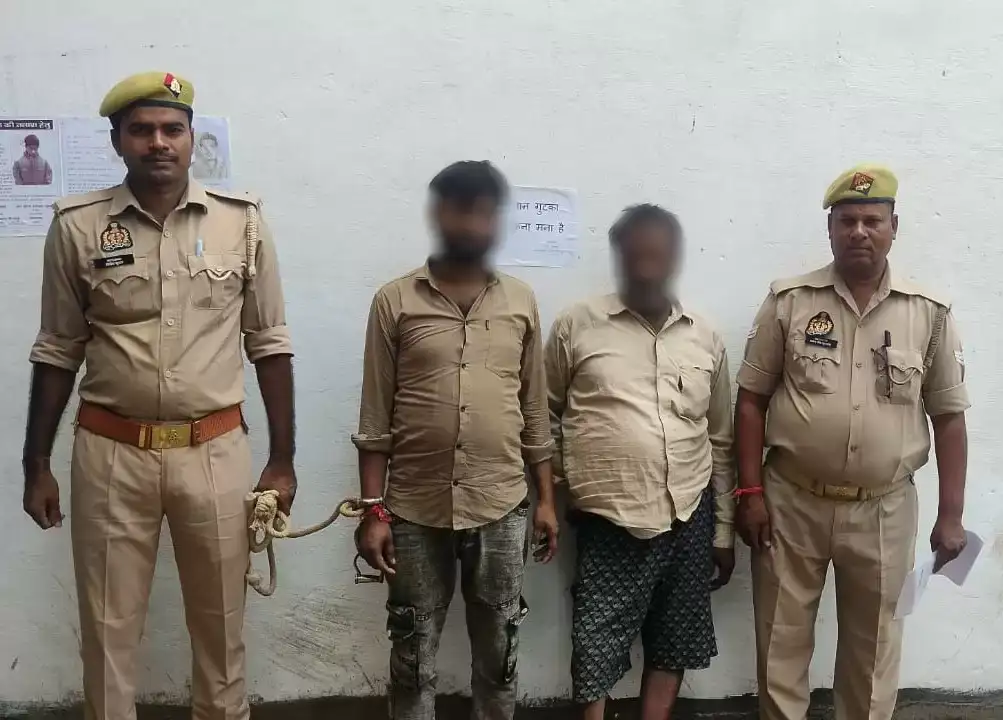 3dfbd58882d2a6c68520a6ffb953f3b3