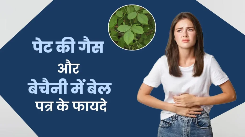 Bael-Patra-For-Bloating-1749293254819