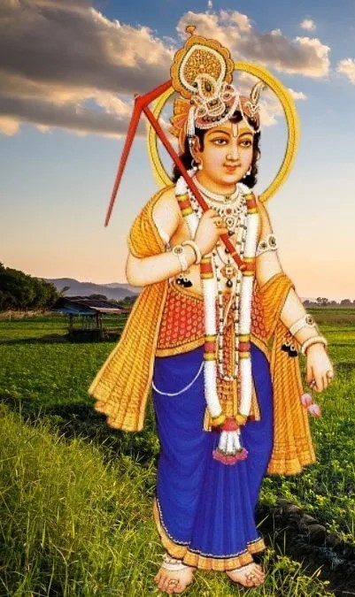 hal-chhath-1755056008