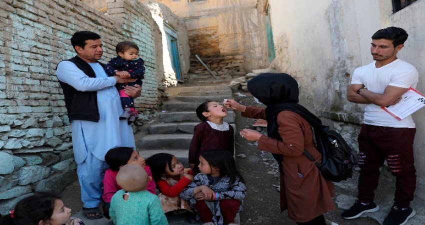 ntnew-15_25_078308841pakistan