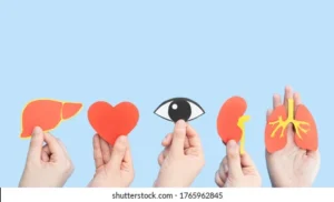 organ-donation-transplantation-concept-human-260nw-1765962845