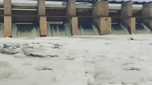 0c8d47c1fe6851a51ea70f28e90e2ecb