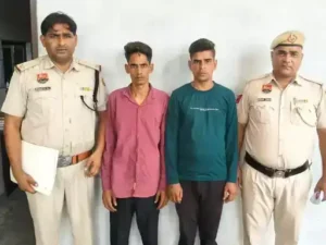 48d37b35ea8d11be5a8d25d2571535c2