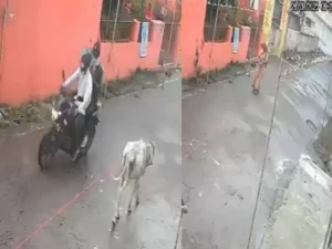 5fb2984913583bf1197300bfb2566ad5